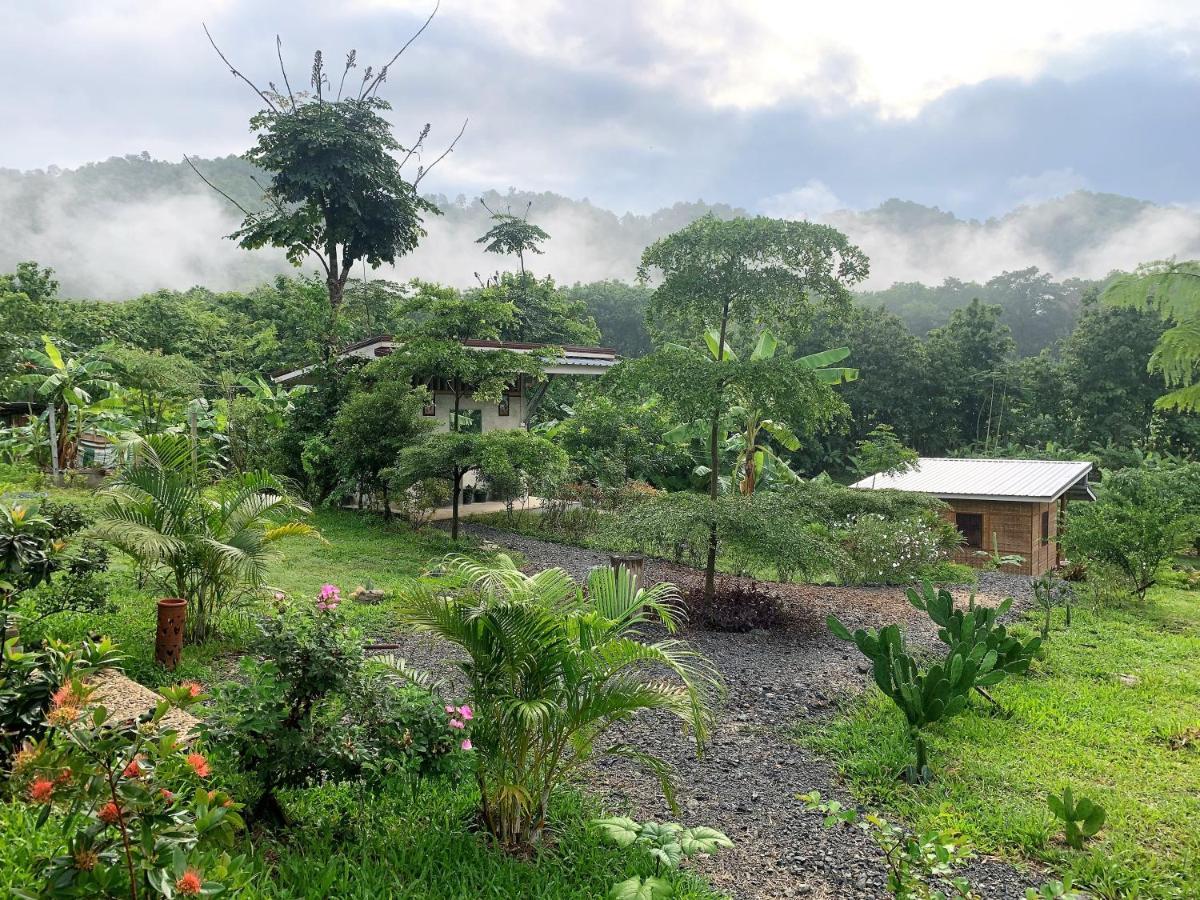 True Nature Chiang Mai - Yoga & Meditation Homestay Retreat Dış mekan fotoğraf