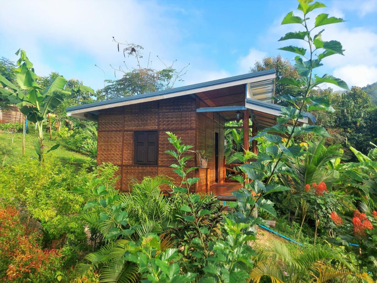 True Nature Chiang Mai - Yoga & Meditation Homestay Retreat Dış mekan fotoğraf