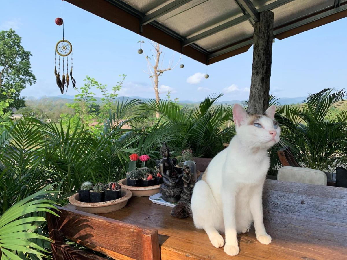 True Nature Chiang Mai - Yoga & Meditation Homestay Retreat Dış mekan fotoğraf