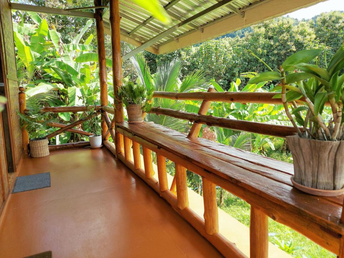 True Nature Chiang Mai - Yoga & Meditation Homestay Retreat Dış mekan fotoğraf