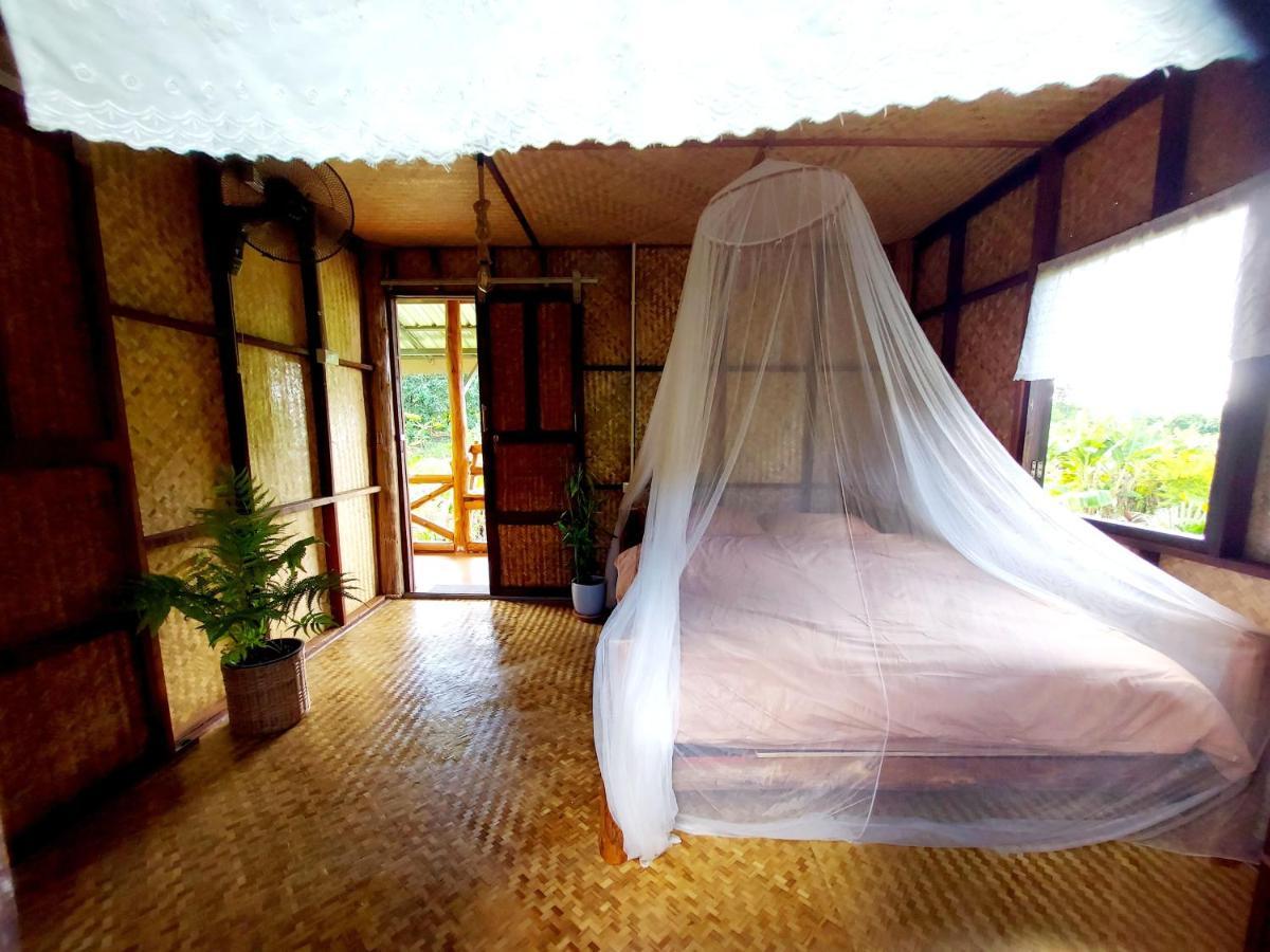 True Nature Chiang Mai - Yoga & Meditation Homestay Retreat Dış mekan fotoğraf